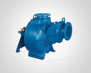 Crown pumps are available from Byrne, Rice and Turner.